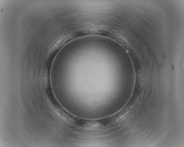 X0000066520642200603241337