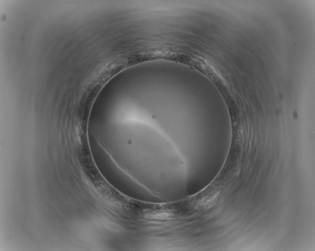 X0000066520643200603241337