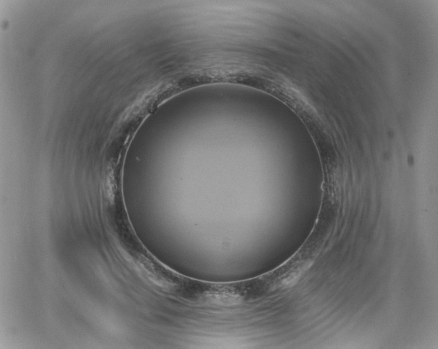 X0000066520644200603241337