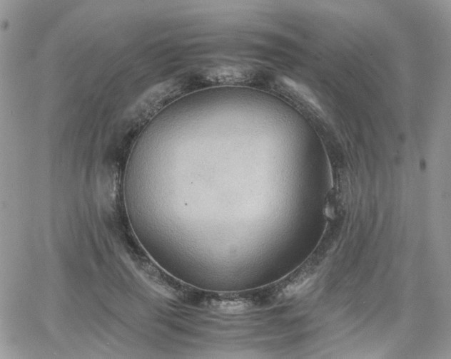 X0000066520645200603241337