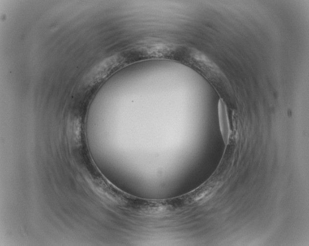 X0000066520646200603241337