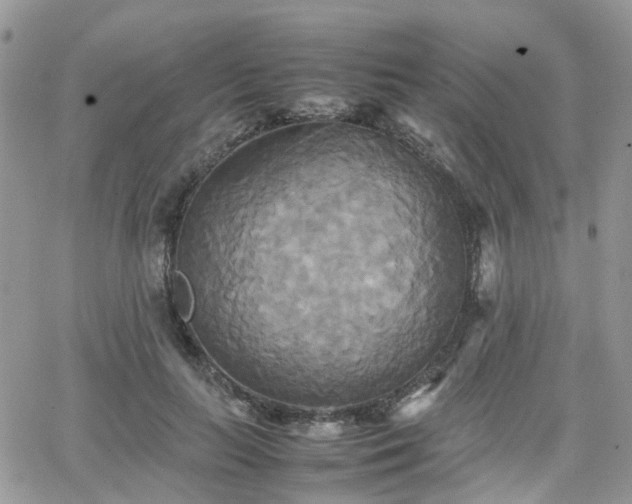 X0000066520647200603241337