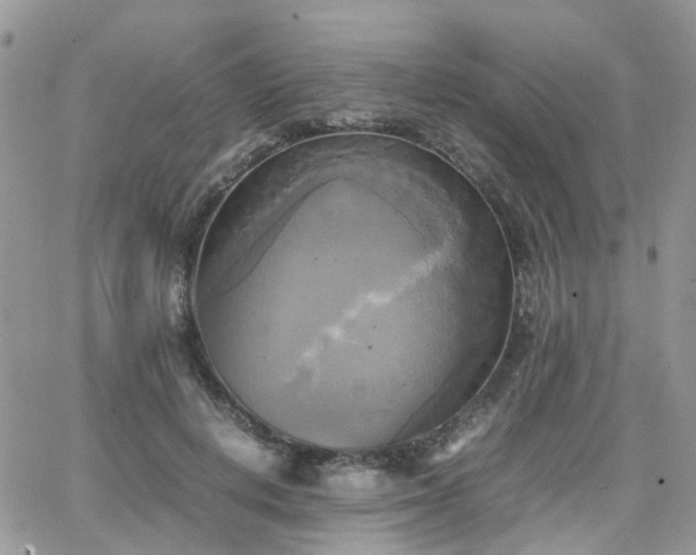 X0000066520648200603241338