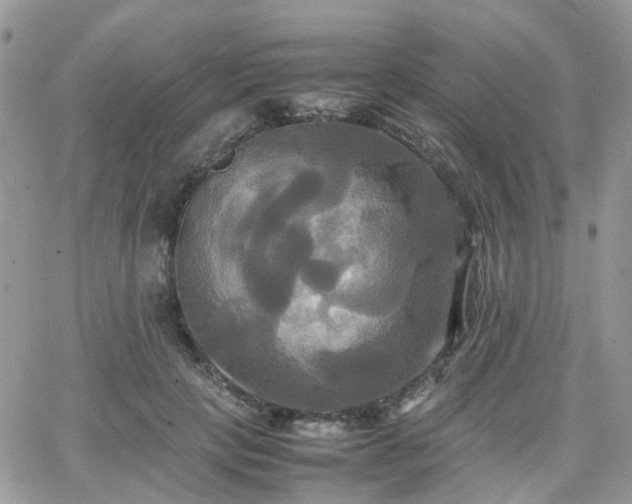 X0000066520649200603241338