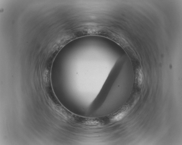 X0000066520650200603241338