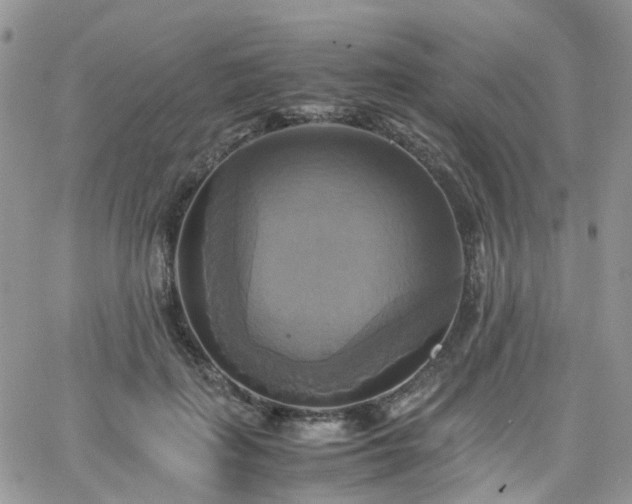 X0000066520651200603241338