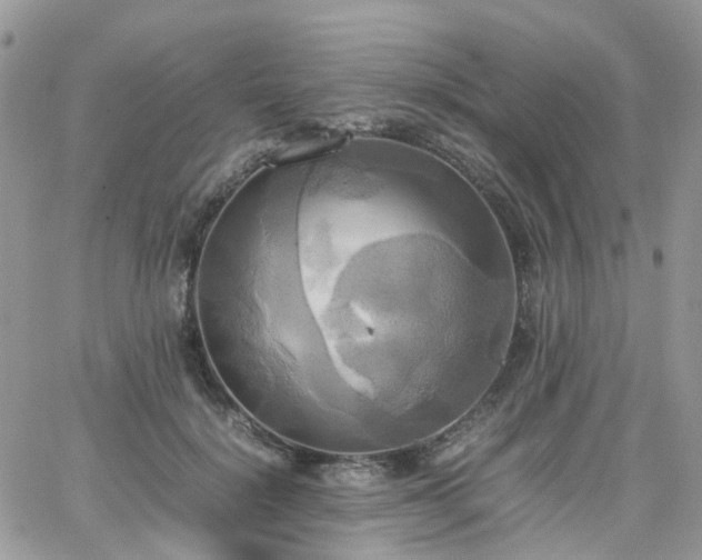 X0000066520652200603241338