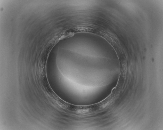 X0000066520653200603241338