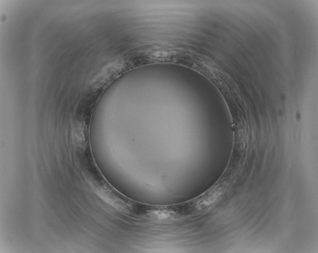 X0000066520654200603241338