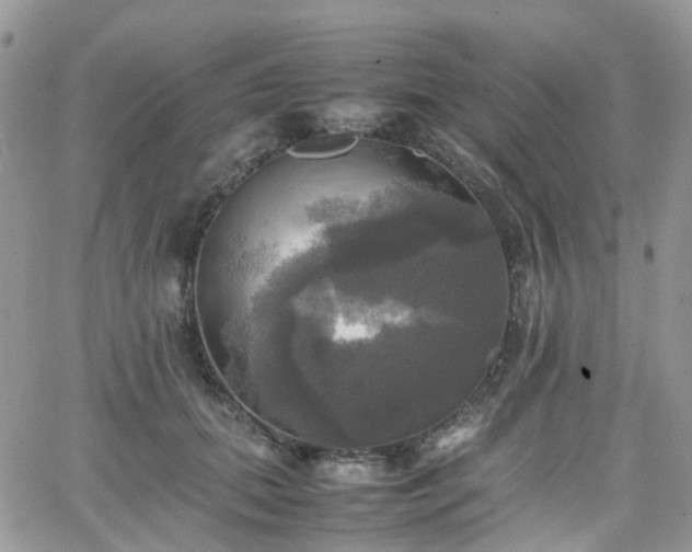 X0000066520655200603241338