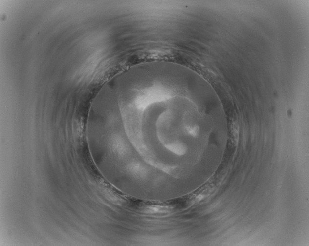 X0000066520657200603241338