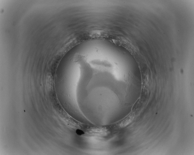 X0000066520659200603241338