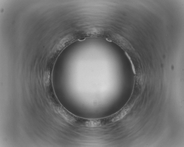 X0000066520660200603241338