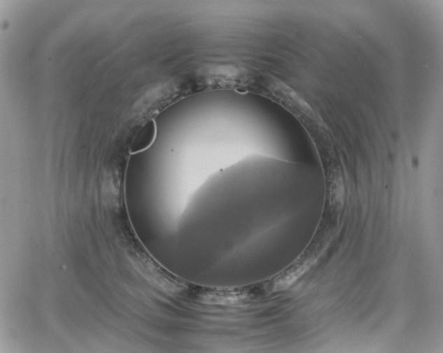 X0000066520661200603241338