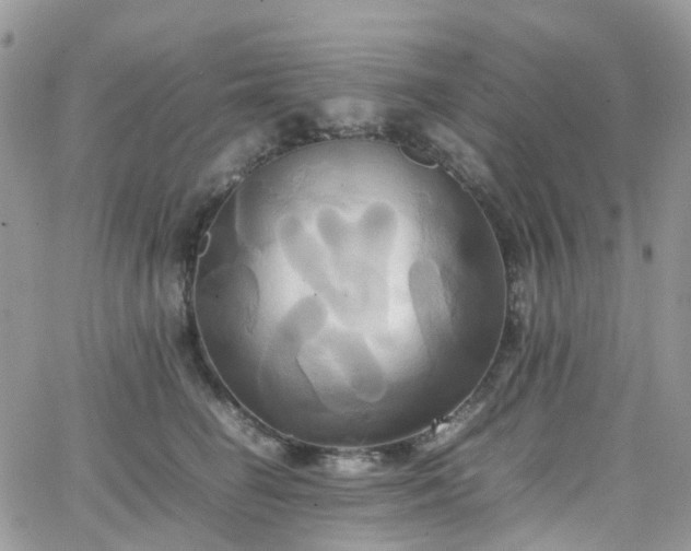 X0000066520662200603241338