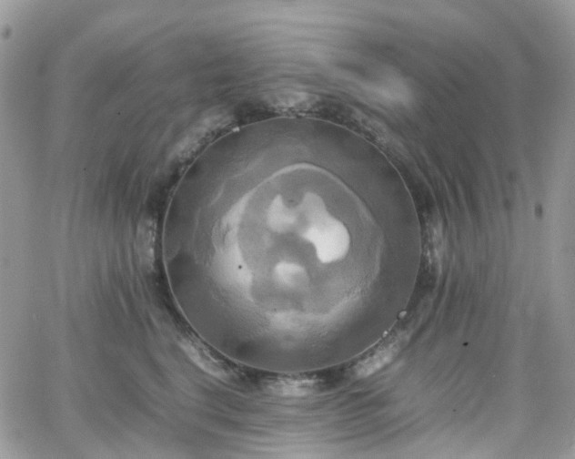 X0000066520664200603241338