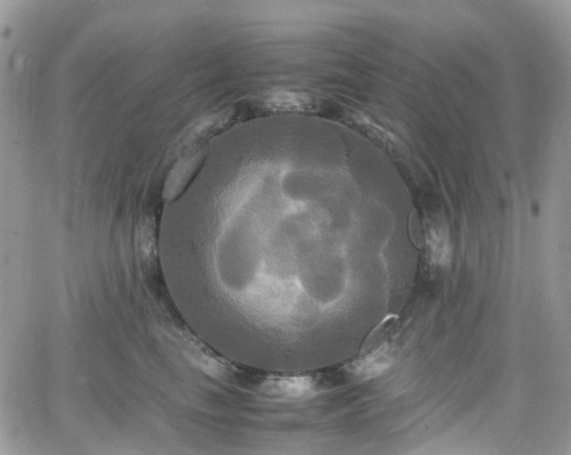 X0000066520665200603241338