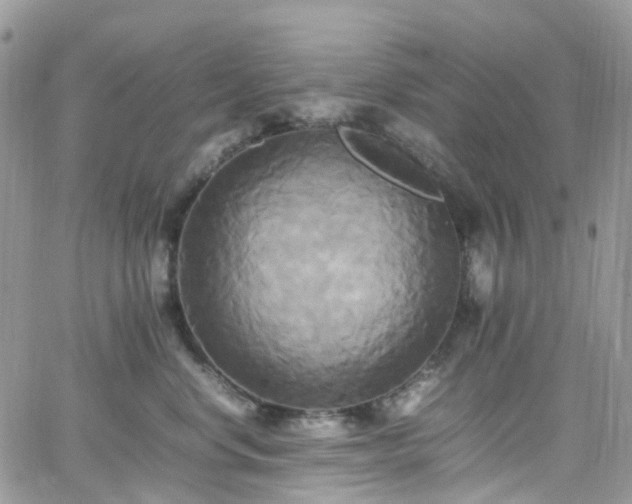 X0000066520668200603241338