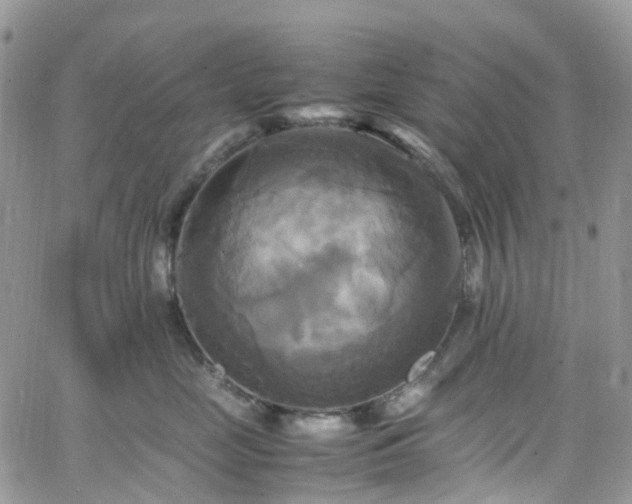 X0000066520669200603241338