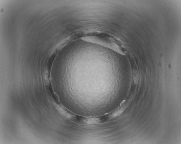 X0000066520670200603241338