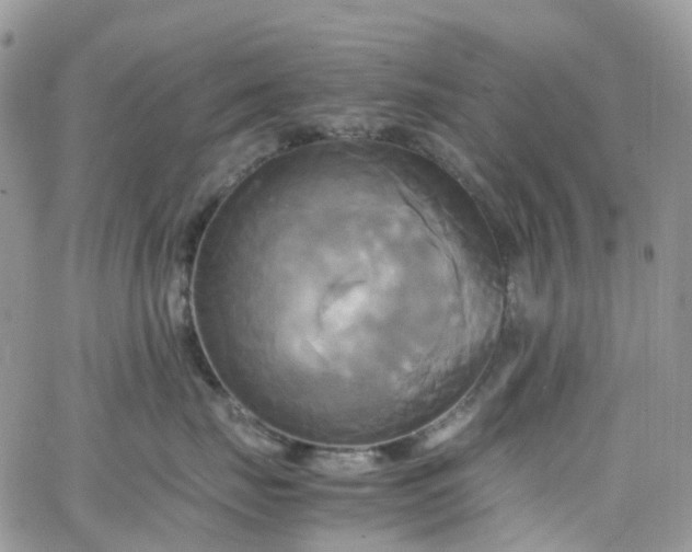 X0000066520671200603241338