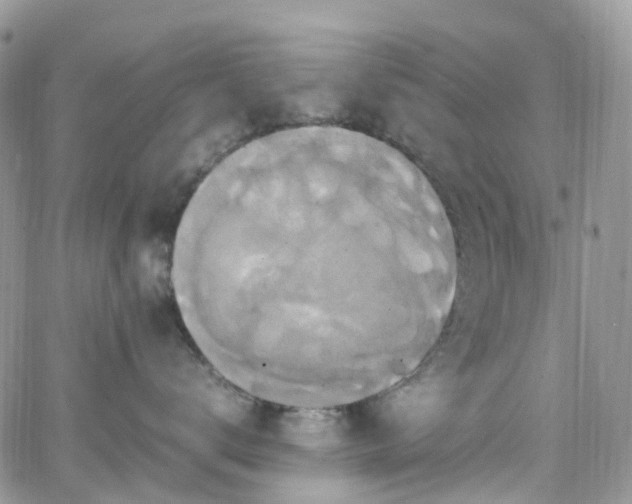 X0000066520672200603241338