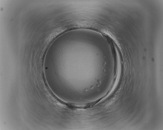 X0000066520673200603241337