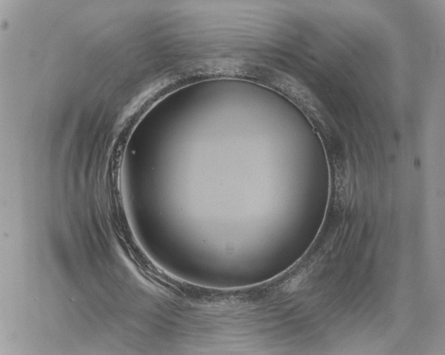 X0000066520674200603241337