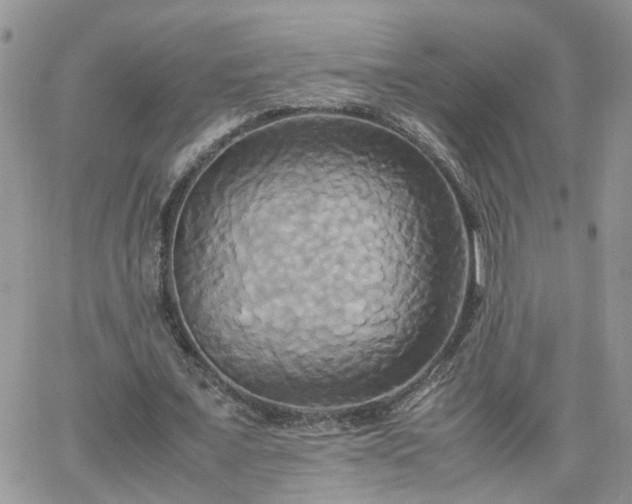 X0000066520675200603241337