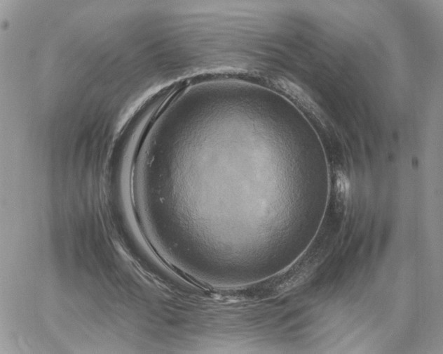 X0000066520676200603241337