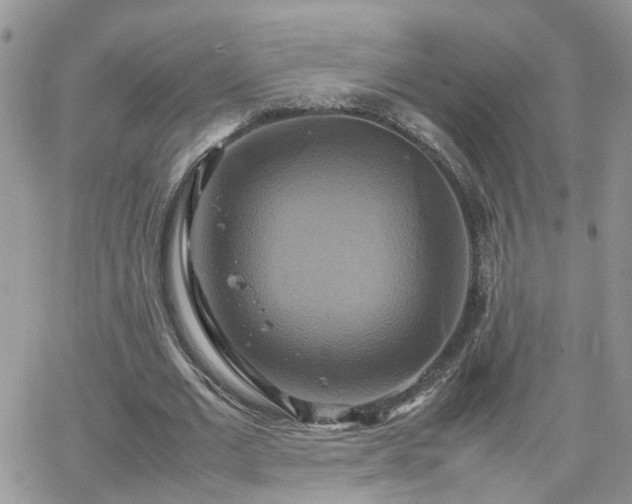 X0000066520677200603241337