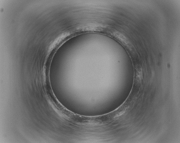 X0000066520678200603241337