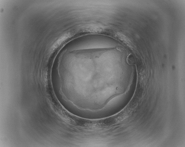 X0000066520679200603241337