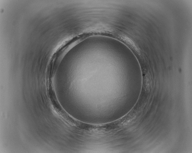 X0000066520680200603241337