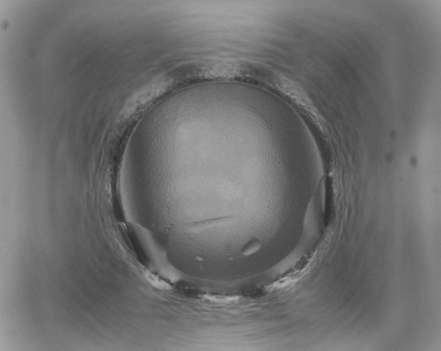 X0000066520681200603241337