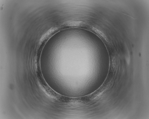 X0000066520682200603241337