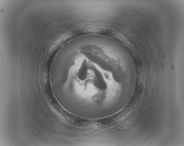 X0000066520683200603241337