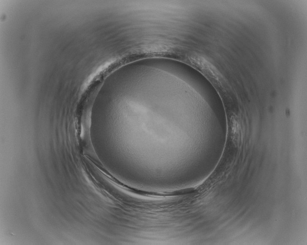 X0000066520684200603241337