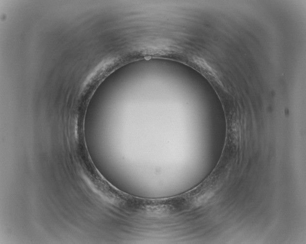 X0000066520686200603241337