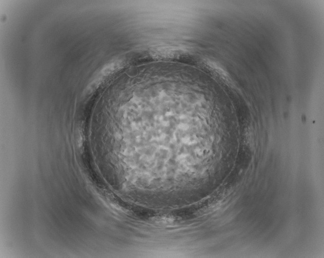 X0000066520687200603241337