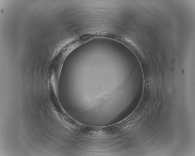 X0000066520688200603241337