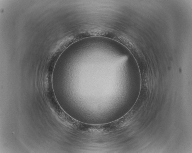 X0000066520690200603241337