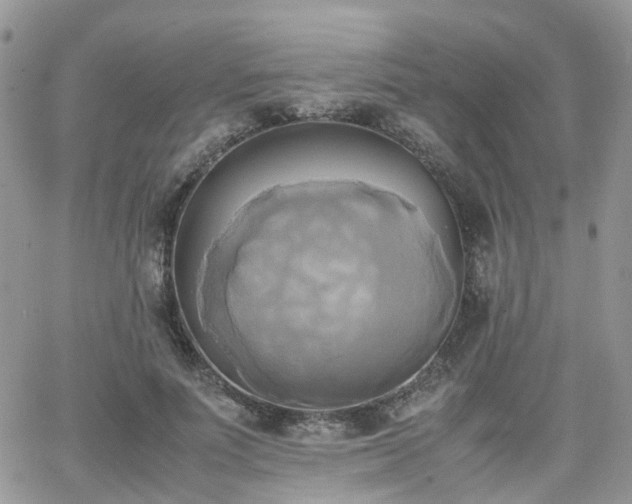 X0000066520691200603241337