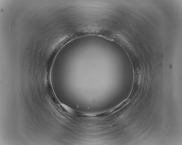 X0000066520692200603241337