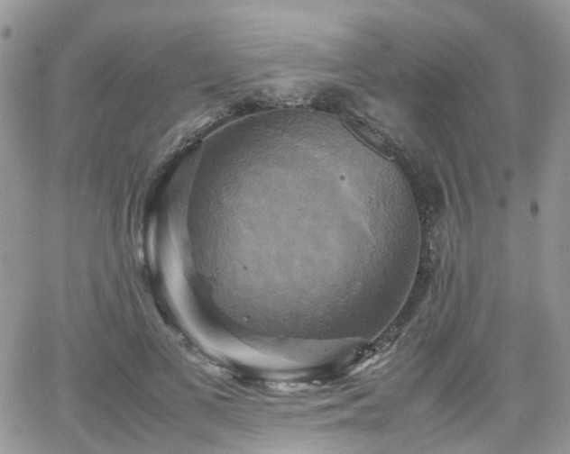 X0000066520693200603241337