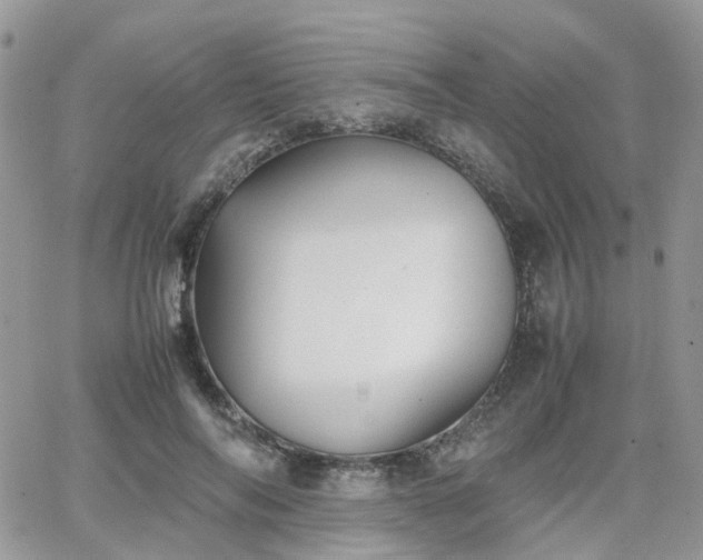 X0000066520694200603241337