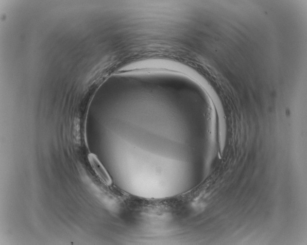 X0000066520696200603241337