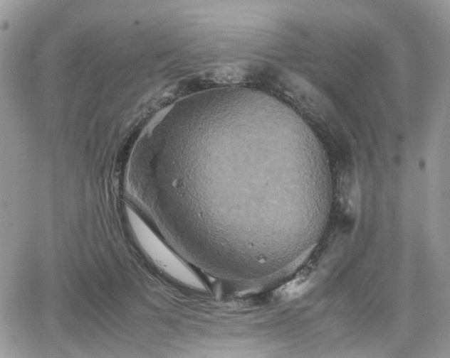 X0000066520697200603241337