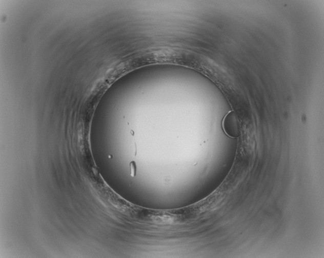 X0000066520698200603241337