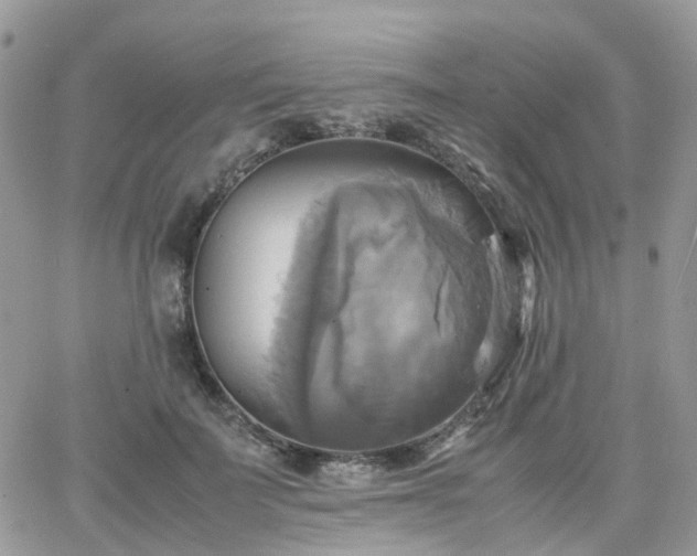 X0000066520699200603241337